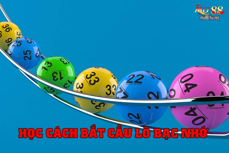 Học cách bắt cầu lô bạc nhớ