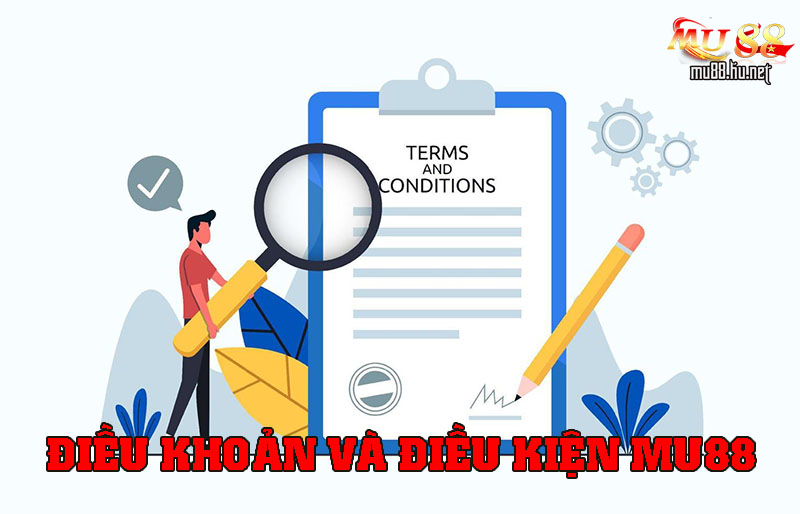 Điều khoản và điều kiện cơ bản cần biết