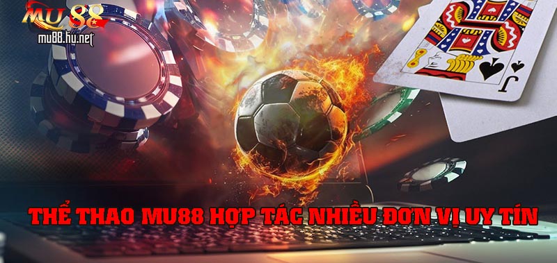 Thể thao hợp tác nhiều đơn vị cung cấp cược an toàn
